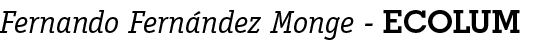 Fernando Fernández Monge - ECOLUM